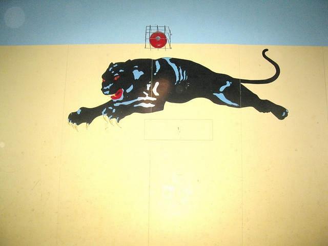 PEHS Shilo Panthers logo still there