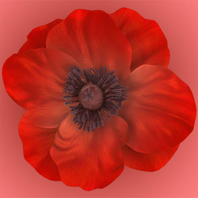 POPPY