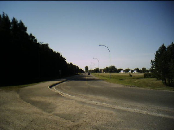 royal ave facing south shilo