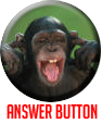 Click on the monkey if you know the answer